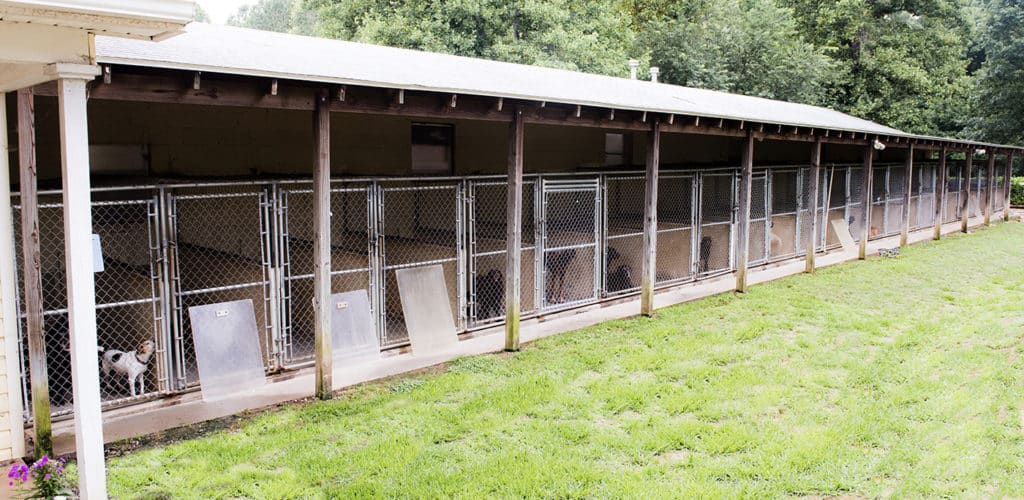 810_9555 - Armadale Farm Kennel